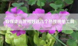 自媒体运营用好这几个热搜榜单工具