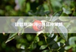 建信期货3月12日品种策略