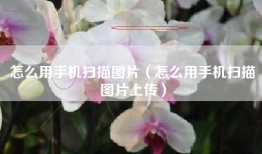 怎么用手机扫描图片（怎么用手机扫描图片上传）