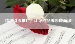 精准引流推广，让你的品牌脱颖而出