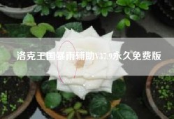 洛克王国暴雨辅助V37.9永久免费版