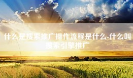 什么是搜索推广操作流程是什么-什么叫搜索引擎推广