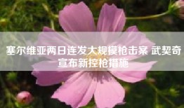 塞尔维亚两日连发大规模枪击案 武契奇宣布新控枪措施