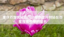 重庆百度优化公司：专业提升网站在百度搜索引擎的排名