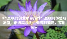 2025互联网创业项目推荐：互联网微信朋友圈，市场需求大，业务利润高，落地简单