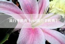 流行手机壳（2021流行手机壳）