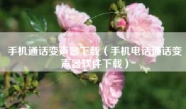 手机通话变声器下载（手机电话通话变声器软件下载）