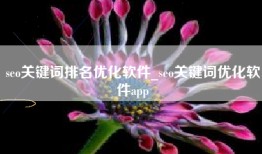 seo关键词排名优化软件_seo关键词优化软件app
