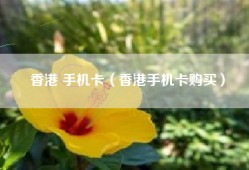 香港 手机卡（香港手机卡购买）