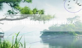 山东：种粮好收成变成农民好收入