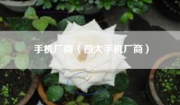 手机厂商（四大手机厂商）