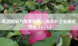 高效的磁力搜索引擎 -_高效的企业测试-结论（6／6）