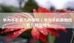 华为手机有几种型号（华为手机数据线有几种型号）