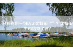 马斯克用一句话让比特币“”？比特币牛市结束了吗？