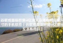 谷歌或面临欧盟60亿美元反垄断罚款量尺寸的手机软件「谷歌或面临欧盟60亿美元反垄断罚款」
