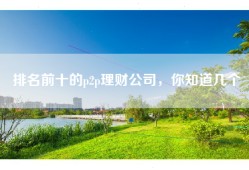排名前十的p2p理财公司，你知道几个