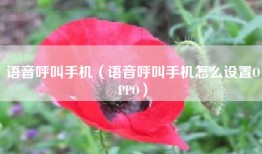 语音呼叫手机（语音呼叫手机怎么设置OPPO）