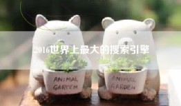 2016世界上最大的搜索引擎