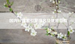 国内BT搜索引擎排名及使用指南