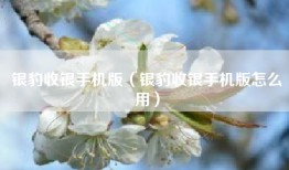 银豹收银手机版（银豹收银手机版怎么用）