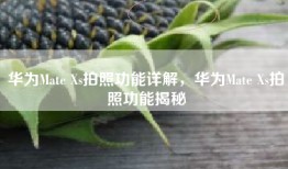 华为Mate Xs拍照功能详解，华为Mate Xs拍照功能揭秘
