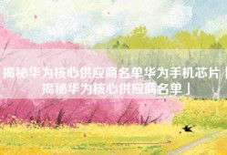 揭秘华为核心供应商名单华为手机芯片「揭秘华为核心供应商名单」