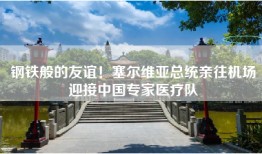 钢铁般的友谊！塞尔维亚总统亲往机场迎接中国专家医疗队
