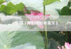 你的（你的很好听英文）