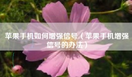 苹果手机如何增强信号（苹果手机增强信号的办法）