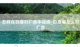 怎样在百度打广告不花钱_百度里怎么打广告