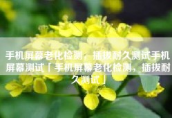 手机屏幕老化检测，插拔耐久测试手机屏幕测试「手机屏幕老化检测，插拔耐久测试」