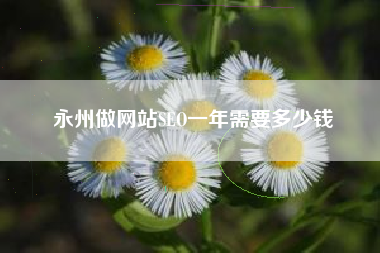 永州做网站SEO一年需要多少钱