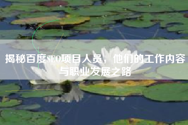 揭秘百度SEO项目人员，他们的工作内容与职业发展之路