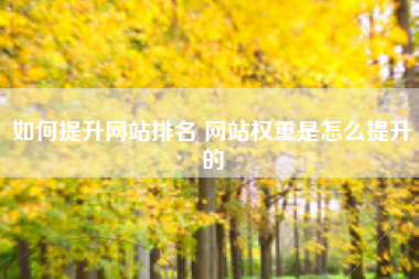 如何提升网站排名 网站权重是怎么提升的