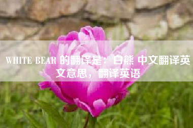 WHITE BEAR 的翻译是:白熊 中文翻译英文意思,翻译英语 WHITE BEAR 的翻译是:白熊 中文翻译英文意思,翻译英语