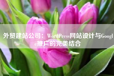 外贸建站公司：WordPress网站设计与Google推广的完美结合