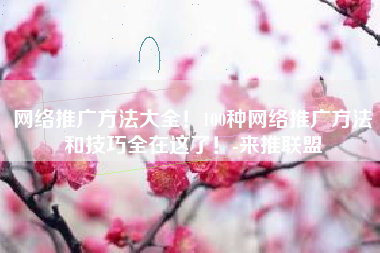 网络推广方法大全！100种网络推广方法和技巧全在这了！-来推联盟