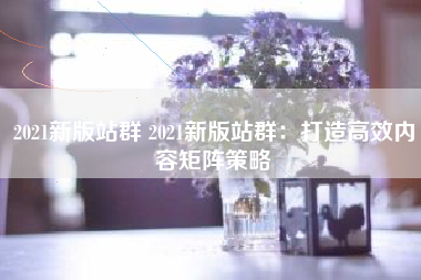 2021新版站群 2021新版站群：打造高效内容矩阵策略