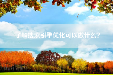 了解搜索引擎优化可以做什么？