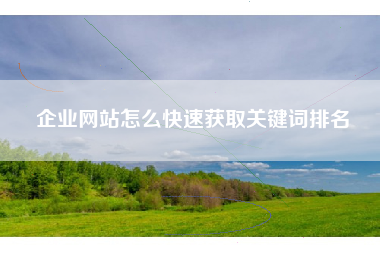 企业网站怎么快速获取关键词排名