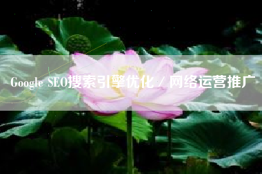 Google SEO搜索引擎优化／网络运营推广
