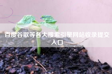 百度谷歌等各大搜索引擎网站收录提交入口