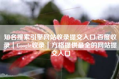 知名搜索引擎网站收录提交入口,百度收录｜Google收录｜方格提供最全的网站提交入口