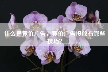 什么是竞价广告，竞价广告投放有哪些技巧？