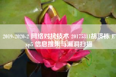 2019-2020-2 网络对抗技术 20175311胡济栋 Exp5 信息搜集与漏洞扫描 2019-2020-2 网络对抗技术 20175311胡济栋 Exp5 信息搜集与漏洞扫描