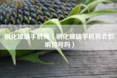 钢化玻璃手机壳（钢化玻璃手机壳会影响信号吗）