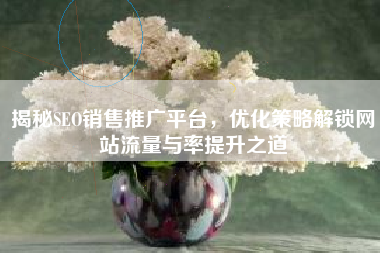 揭秘SEO销售推广平台，优化策略解锁网站流量与率提升之道