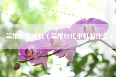 苹果初代手机（苹果初代手机叫什么）