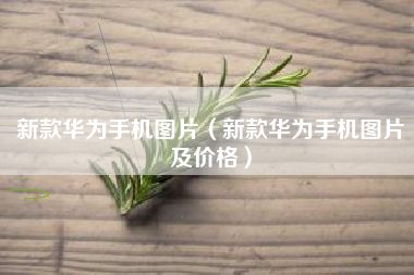 新款华为手机图片（新款华为手机图片及价格）