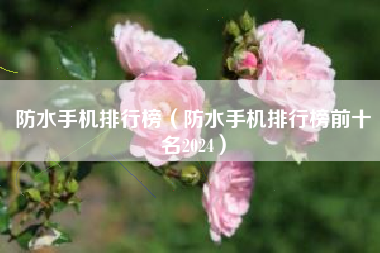 防水手机排行榜（防水手机排行榜前十名2024）